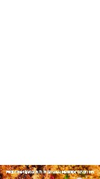 DMB_Portrait_1080x1920_GRILL_2016_03_23_043752.jpg